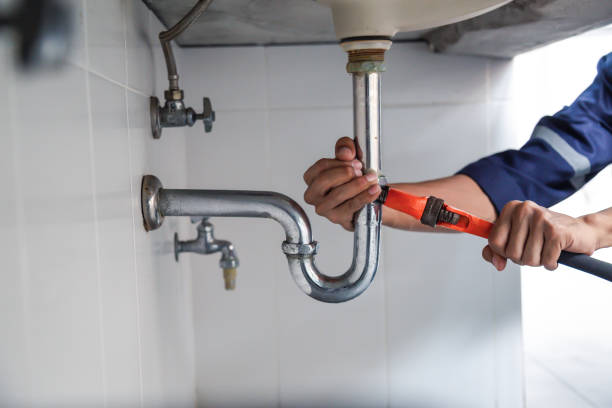 Best Affordable Plumber Near Me  in Paw Paw Lake, MI