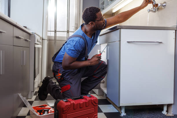 Best Same-Day Plumbing Service  in Paw Paw Lake, MI