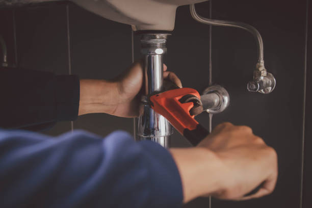 Best Plumbing Inspection Services  in Paw Paw Lake, MI